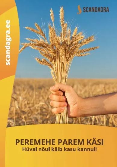 Peremehe parem käsi Hüval nõul käib kasu kannul! kaanepilt – front cover