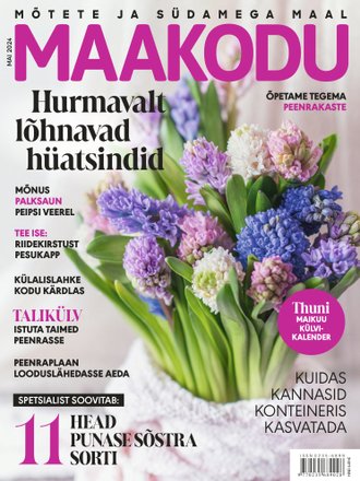 Peenrakastide ehitamine on nagu tetrise mäng Maakodu, mai 2024 kaanepilt – front cover