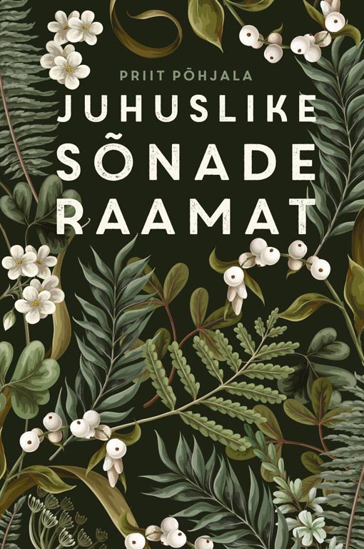 Juhuslike sõnade raamat kaanepilt – front cover