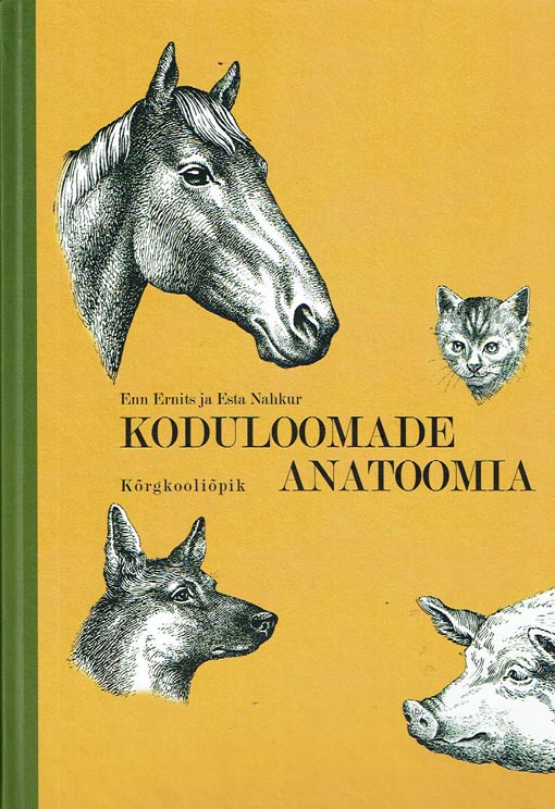 Koduloomade anatoomia: kõrgkooliõpik kaanepilt – front cover