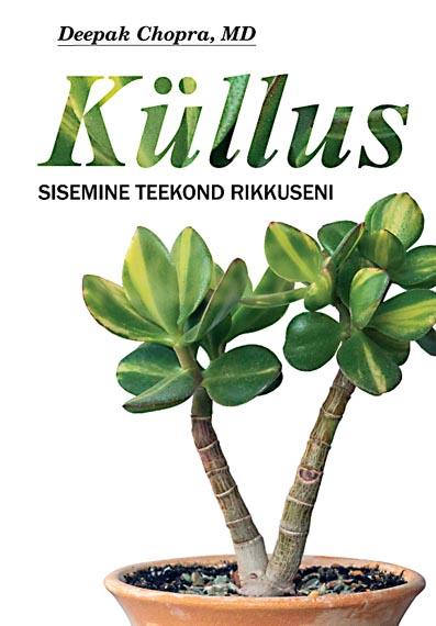 Küllus: sisemine teekond rikkuseni kaanepilt – front cover