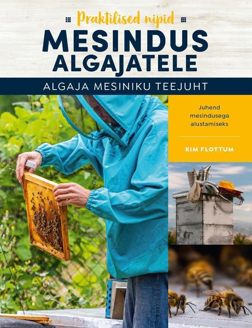 Mesindus algajatele: algaja mesiniku teejuht Praktilised nipid kaanepilt – front cover