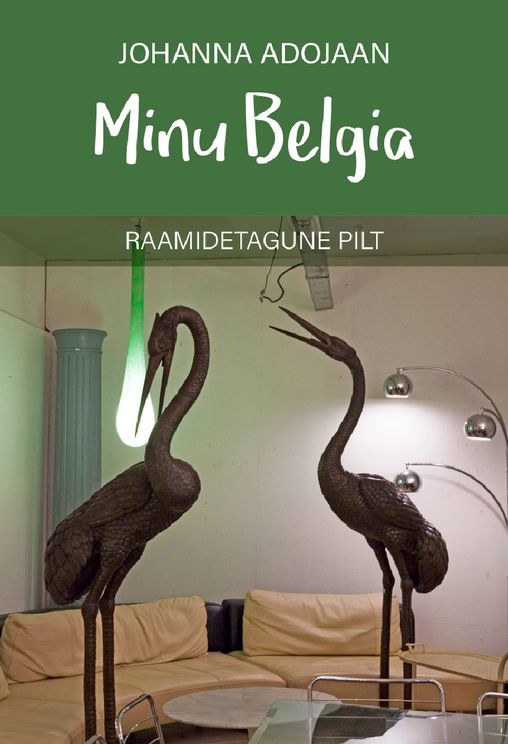 Minu Belgia: raamidetagune pilt kaanepilt – front cover