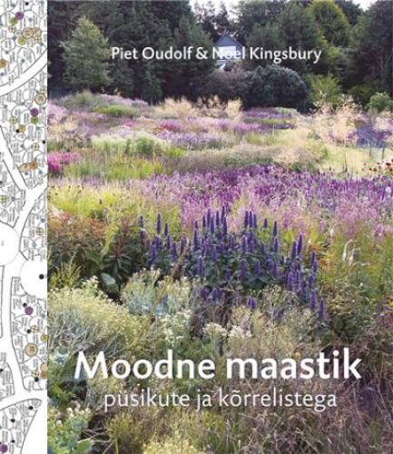 Moodne maastik: püsikute ja kõrrelistega kaanepilt – front cover