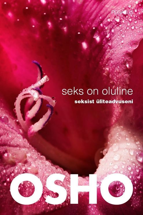 Seks on oluline: seksist üliteadvuseni kaanepilt – front cover