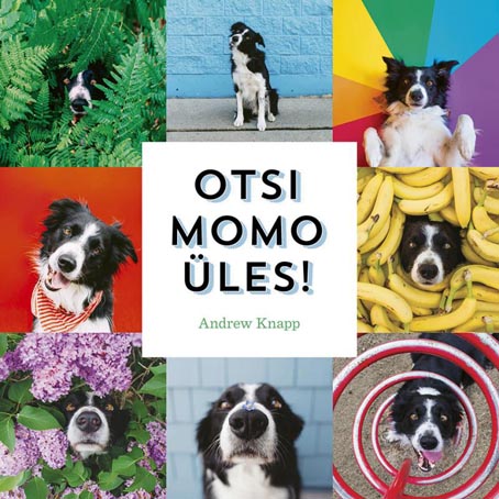 Otsi Momo üles! kaanepilt – front cover