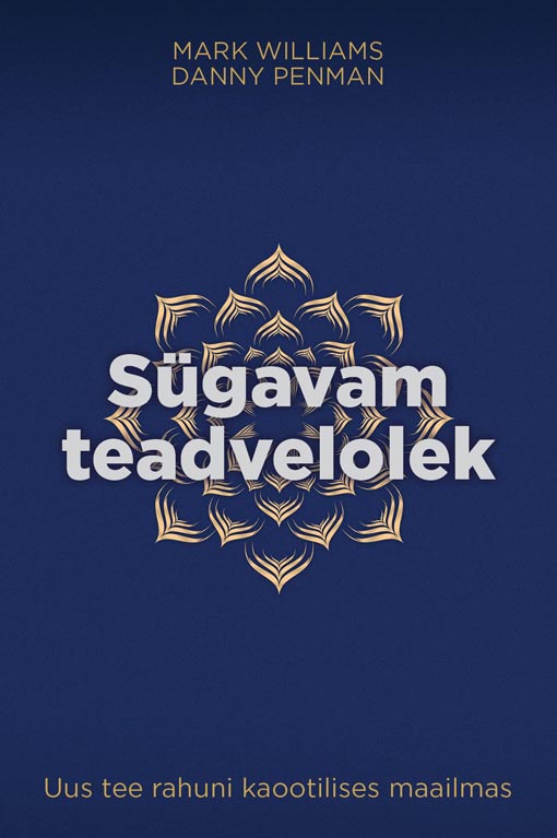 Sügavam teadvelolek Uus tee rahuni kaootilises maailmas kaanepilt – front cover