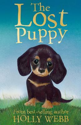 The lost puppy kaanepilt – front cover