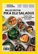 Milles peitub pika elu saladus: kuidas elada kauem ja vananeda tervemalt?