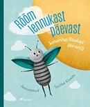 Rõõm lennukast päevast