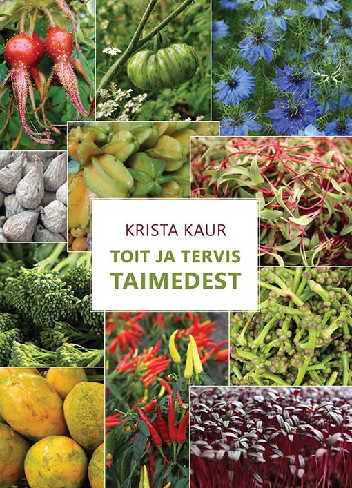 Toit ja tervis taimedest kaanepilt – front cover